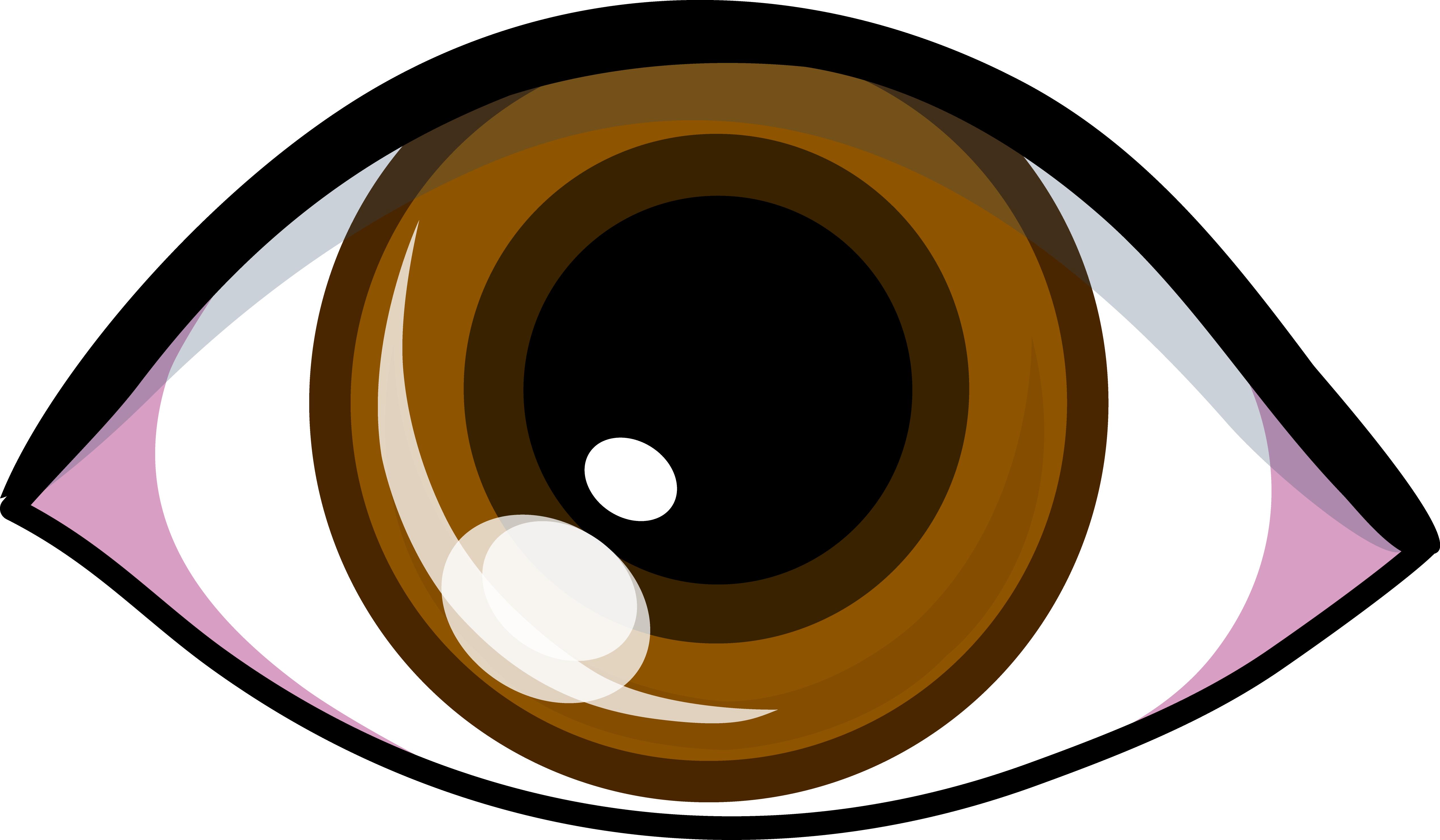 Hairspray Clipart - Cartoon Brown Eye (5076x2962)
