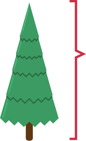 Christmas Tree Growers Sell The Shorn Whorls To Make - Christmas Tree (297x485)
