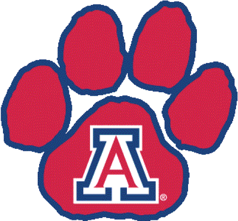 Five Off The Beaten Path Storylines Of Arizona Wildcats - Arizona Wildcats Softball Logo (500x500)