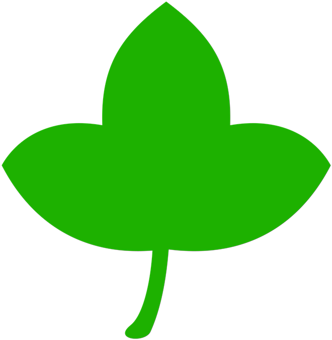 Icon Leaf Green Tree Nature Leaves Plant - Leaf (720x720)