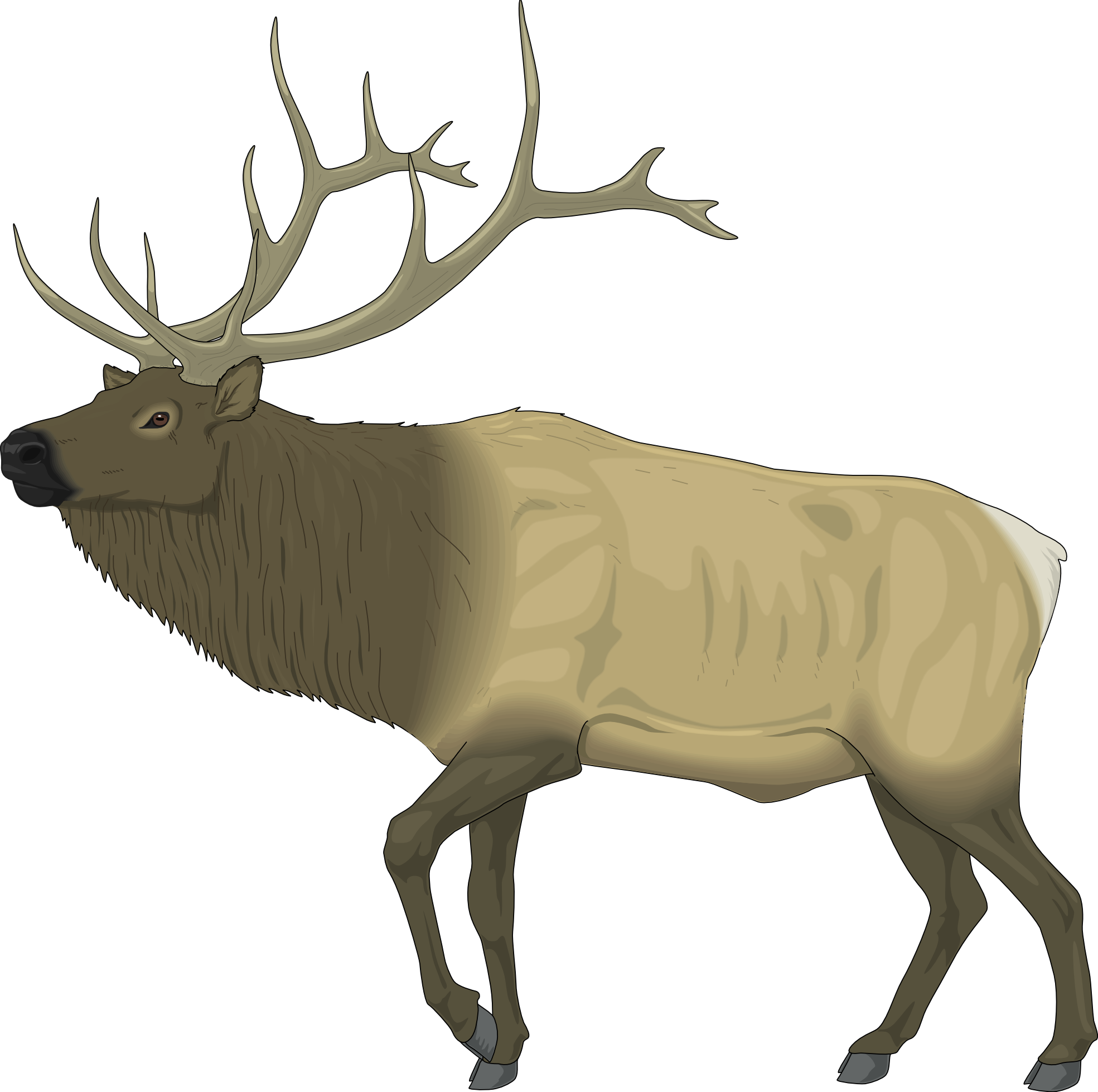 Reindeer Clip Art - Elk Clip Art Free (1969x1957)