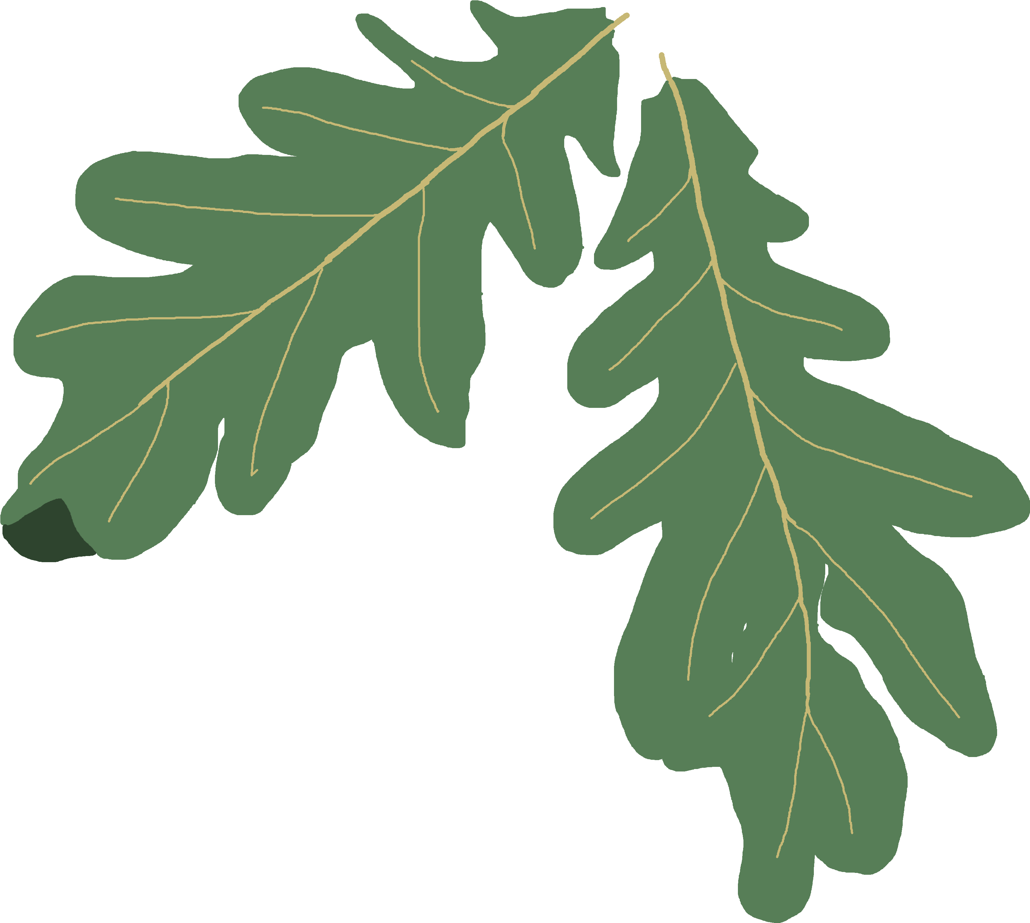 Leaves Clipart Oak Leaf - Oak Leaf Clip Art (4608x3456)