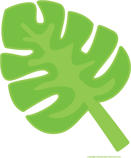 Free Luau Clipart - Moana Leaves (445x536)