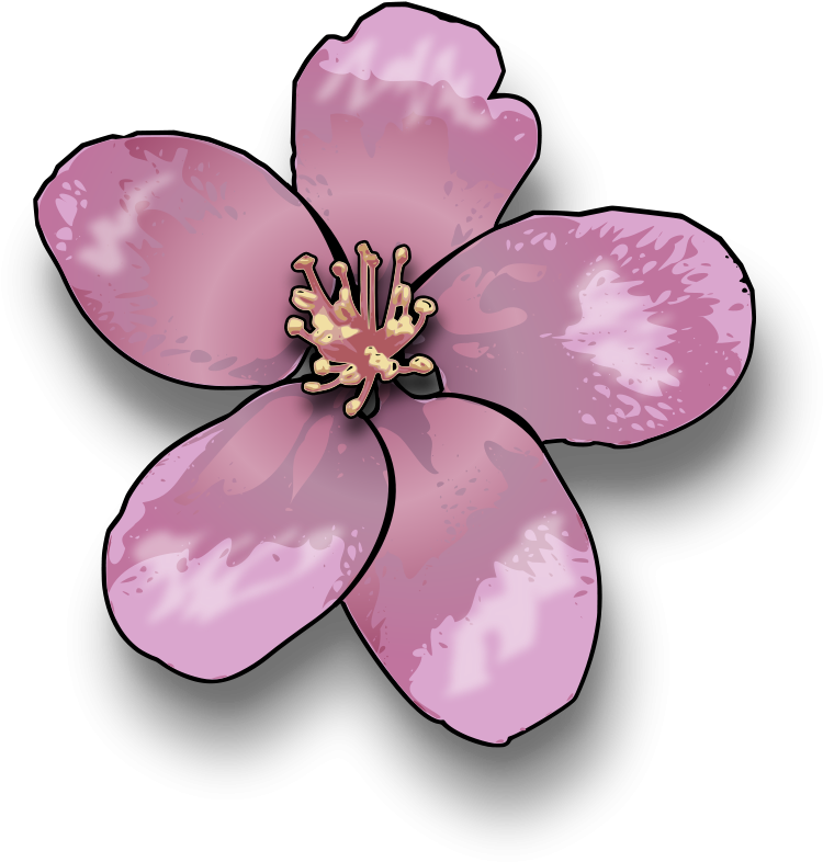 Free To Use Public Domain Flowers Clip Art - Blossoms Clipart (800x800)