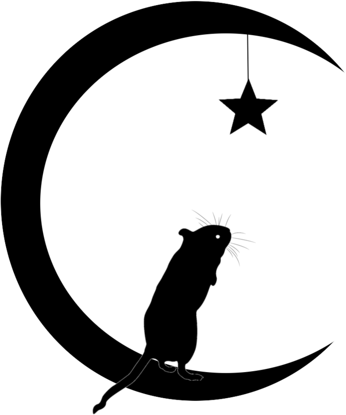 Moon And Stars Clip Art - Design (900x900)