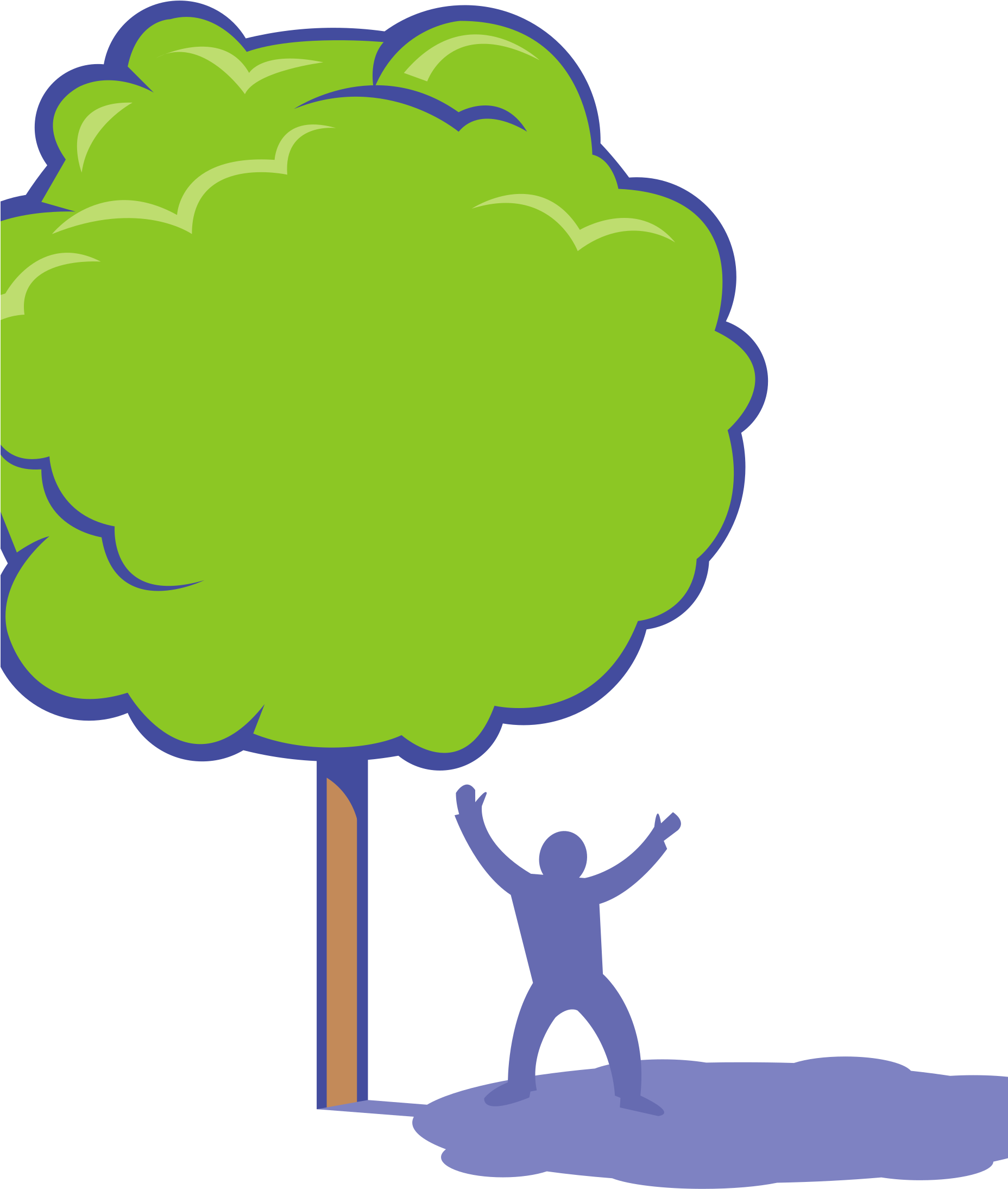 Free Shady Tree - Shade Clipart (1855x2400)