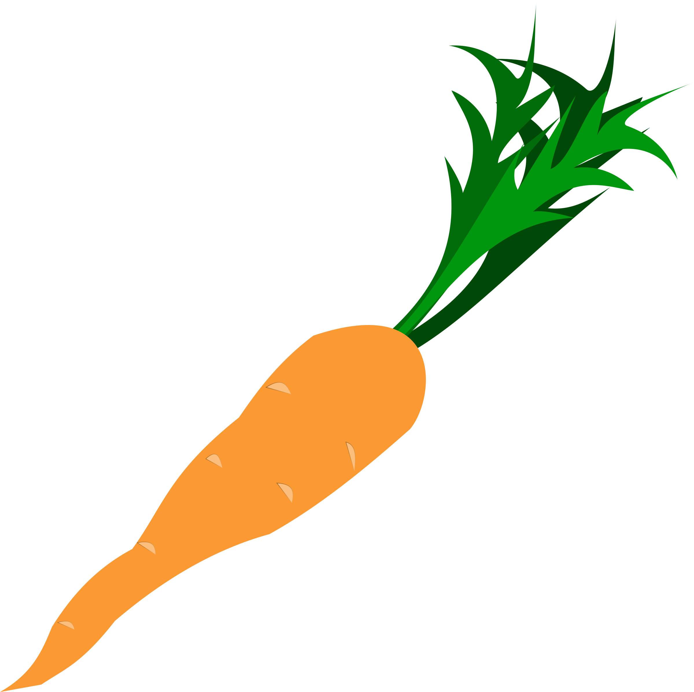 Free To Use Public Domain Carrot Clip Art - Carrot Clipart Transparent (2400x2393)