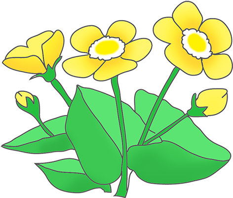 Buttercup Clipart - Clip Art (472x401)