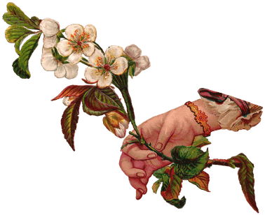 Victorian Hand Transparent Png (400x400)