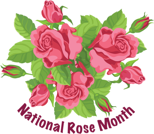 National Rose Month - Use It Or Lose (640x571)