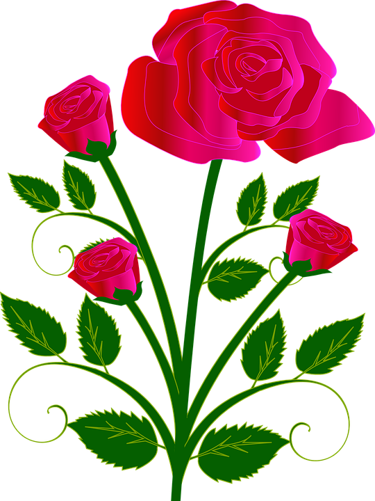 Bouquet Flower Rose Red Love - Flower Rose (540x720)