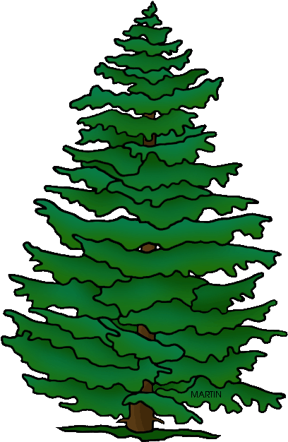 Pennsylvania State Tree Hemlock - Tree (464x648)
