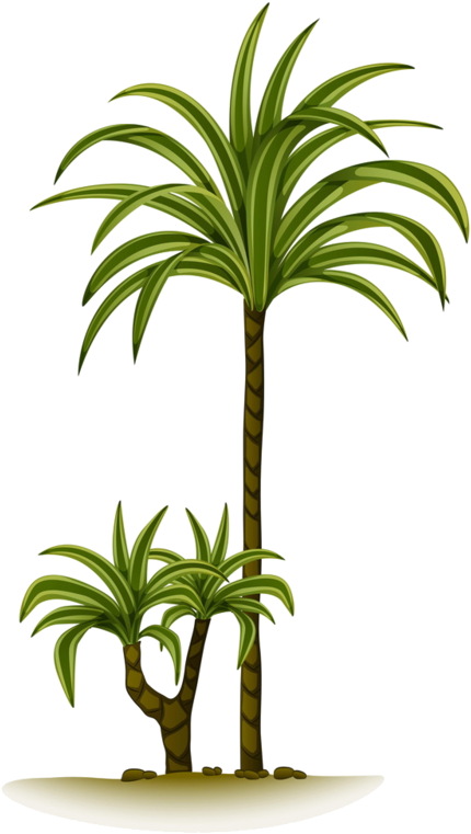 Arbre,tubes,png - Palm Trees (470x800)
