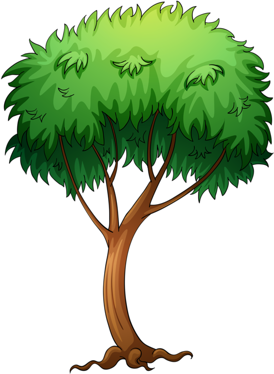 Tree Cartoon Png (610x800)