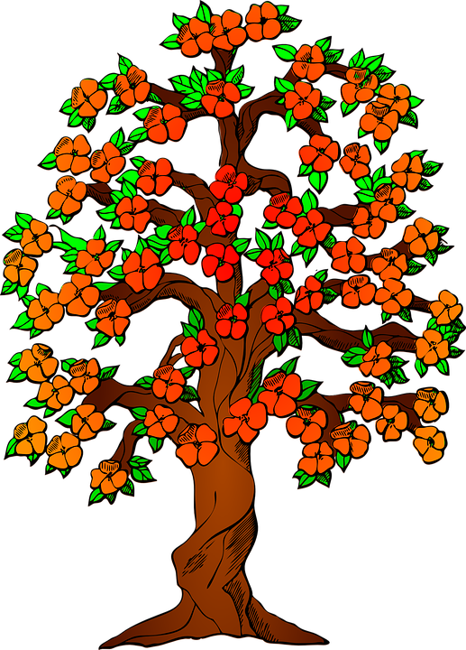 Autumn Fall Tree Leaves Colorful Fall Colors - 3 Generation Family Tree (517x720)