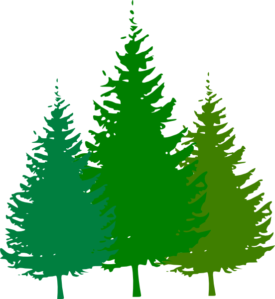 Forest Clip Art Free - Pine Tree Silhouette Vector (552x601)