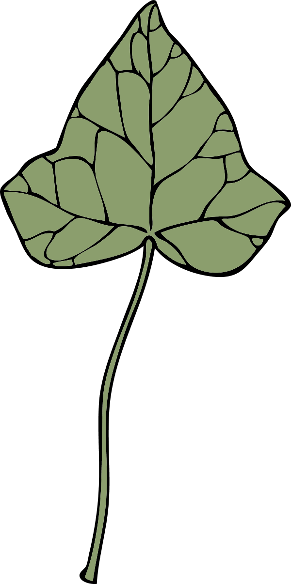Ivy Leaf - Clip Art (600x1206)