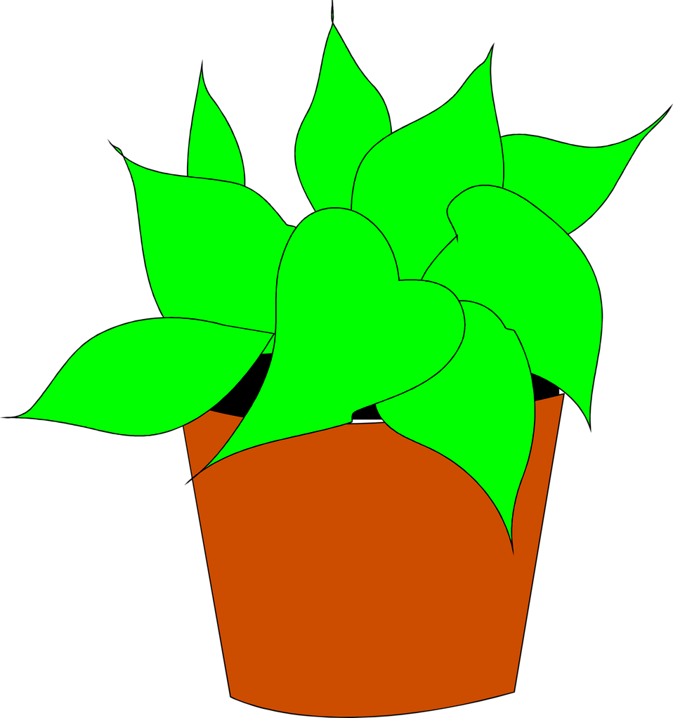 Potted Plant Clipart Kid - Free Clipart Potted Plant (958x1022)