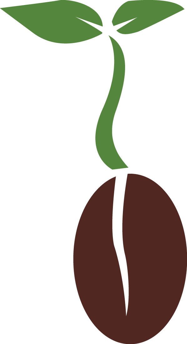 Seed Png Transparent Images - Plant Seed Png (598x1097)