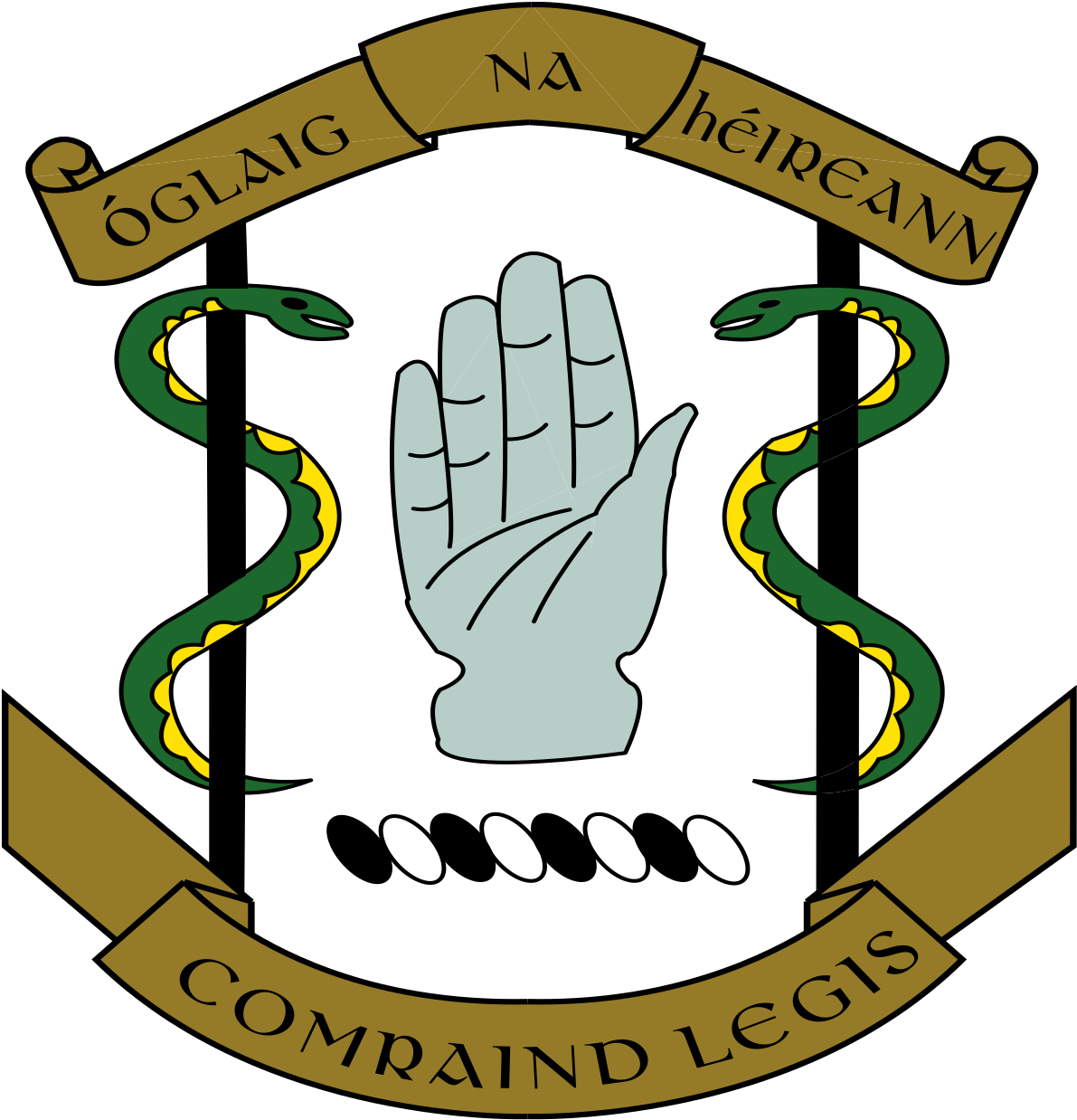 Irish Army Medic (1200x1248)
