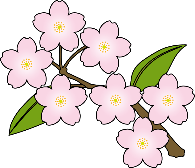 Japanese Flowers Clipart - Spring Sakura Clip Art (633x544)