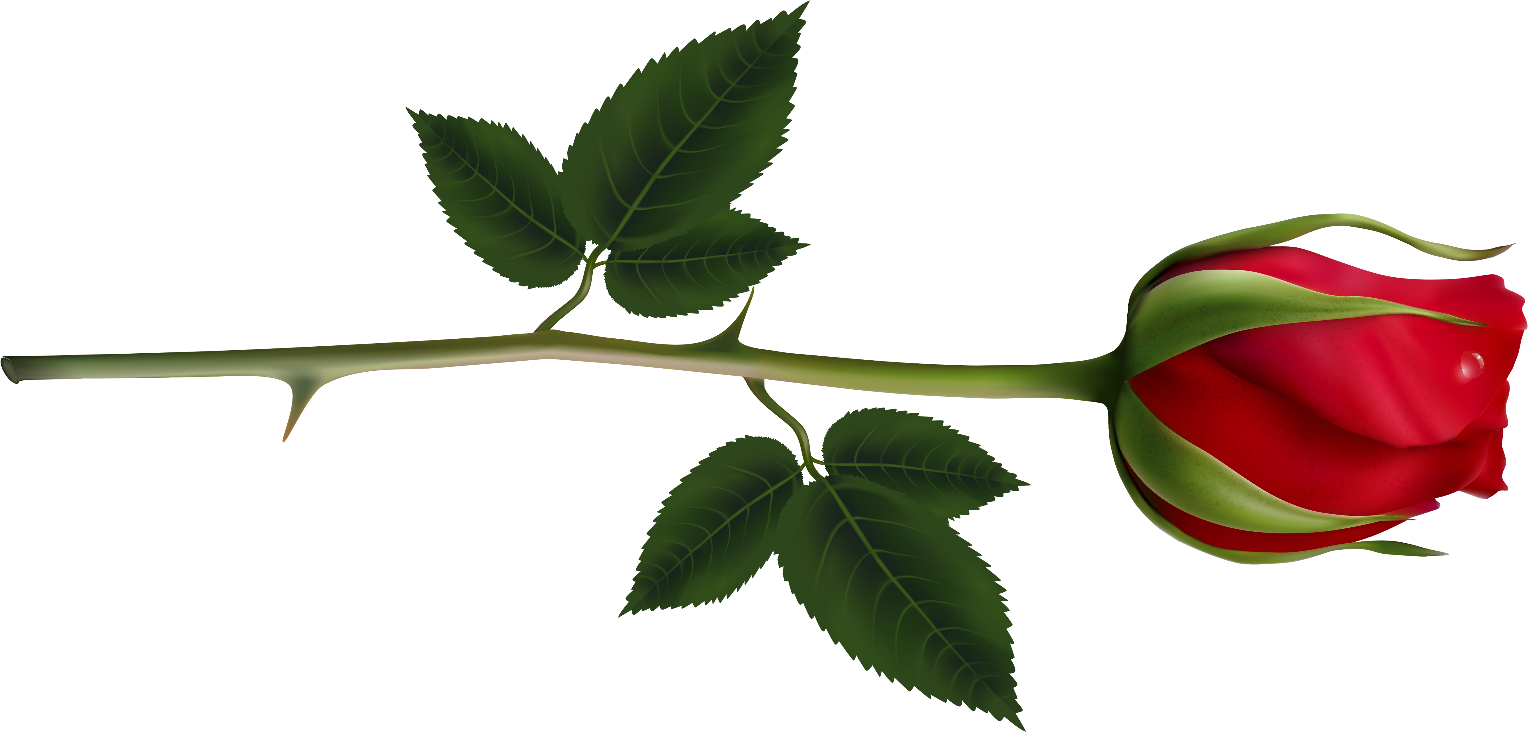 Rose Clipart Rose Tree - Red Rose Bud Png (5158x2476)