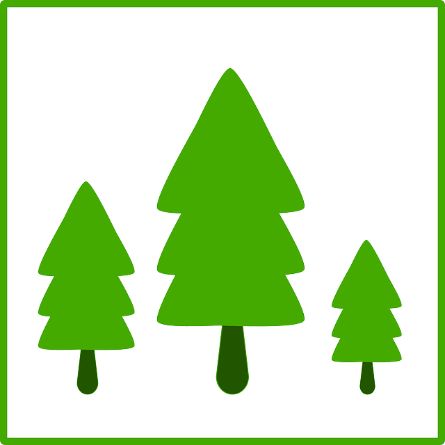 Tree, Fir, Ecology, Green, Growth, Sign - Trees Icon (640x640)