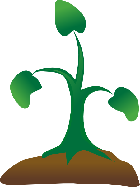 Seedling Clip Art - Sapling Clipart Png (450x600)