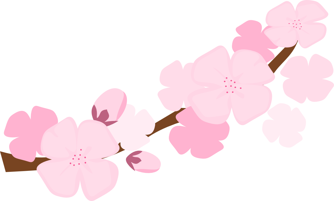 Plum Blossom Tree Clip Art - Cherry Blossom Clip Art Png (1384x834)