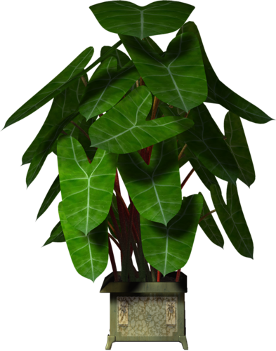 Garden Pot Plant - Macetas O Arboles Grandes En Pgn (393x500)