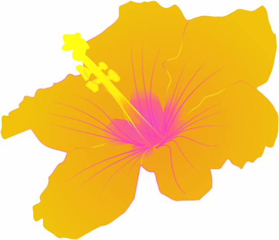 The Next Two Flowers Are Hibiscus, This One A Nice - Hibiscus Clip Art (550x472)