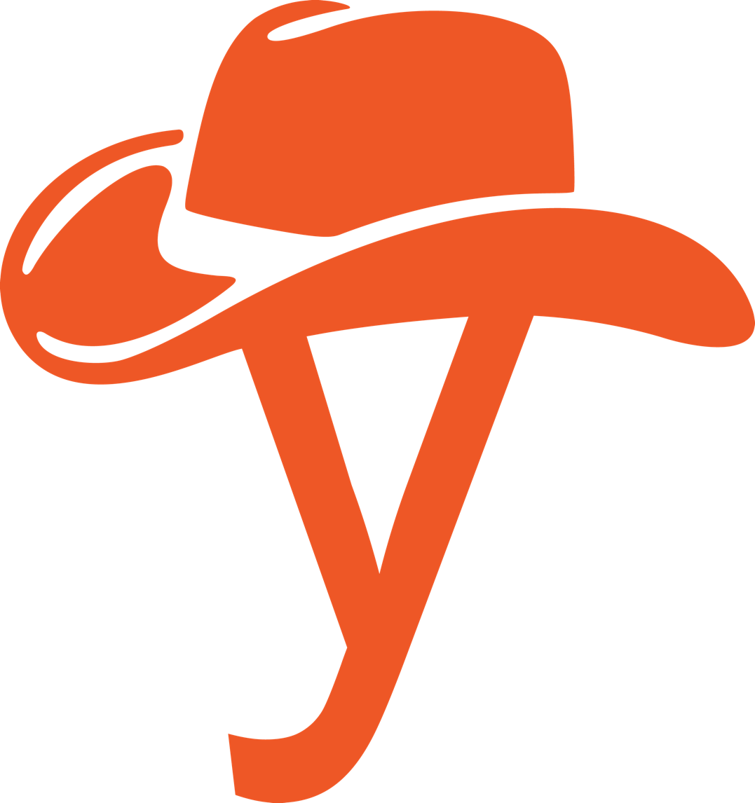 See Here Cowboy Hat Transparent Background - Yhat Rodeo (1077x1146)