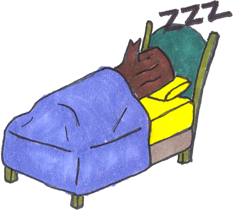 Clip Arts Related To - Sleeps Like A Log (747x673)