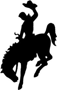 Wyoming Horse Bronc Riding Bucking Clip Art - Bucking Horse Clip Art (640x480)