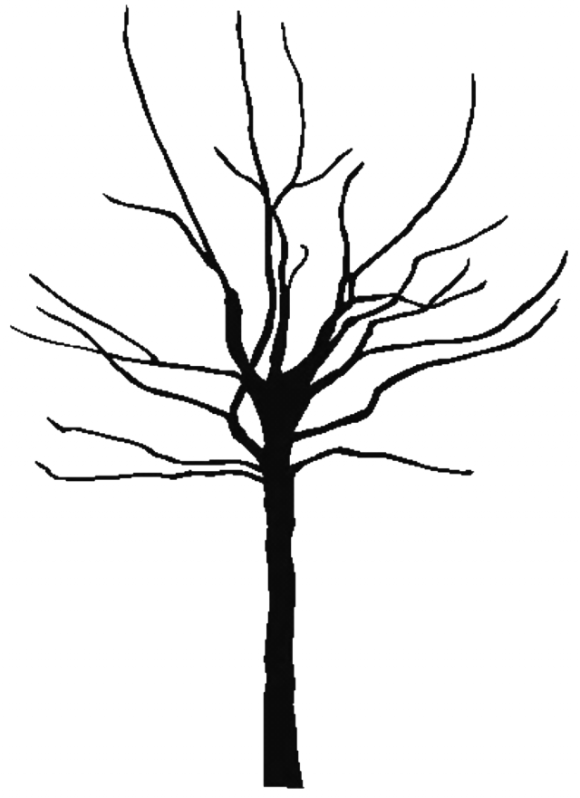 Tree Outline Printable Clipart Best 143849 Free Coloring - Bare Clipart Tree (640x881)