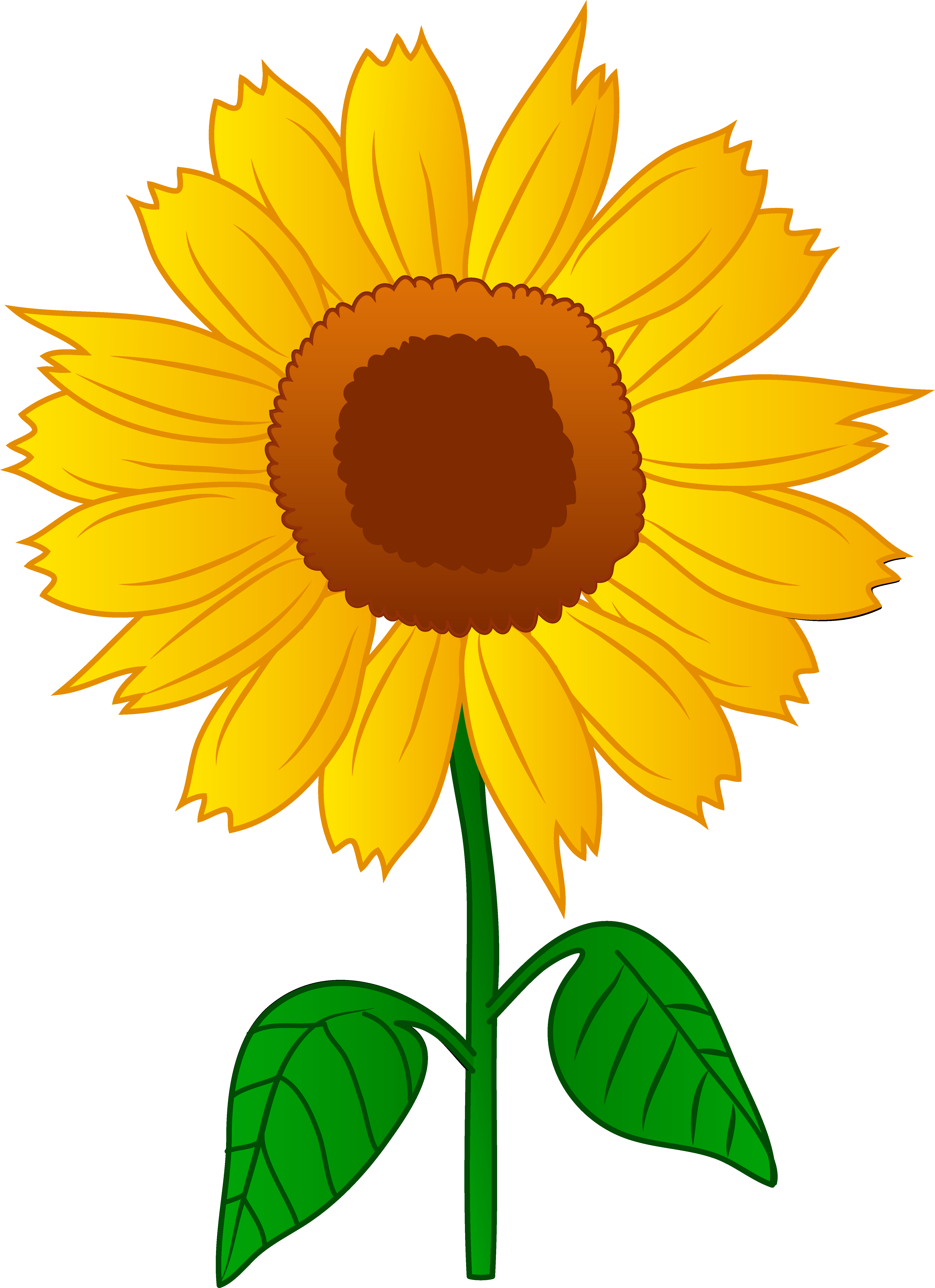 Clip Arts Related To - Clipart Sunflower (4909x6763)