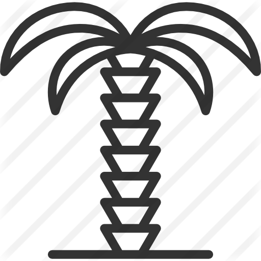 Palm Tree - Tree (512x512)
