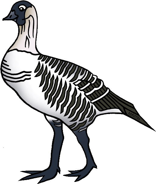 State Bird Of Hawaii - Duck (580x648)
