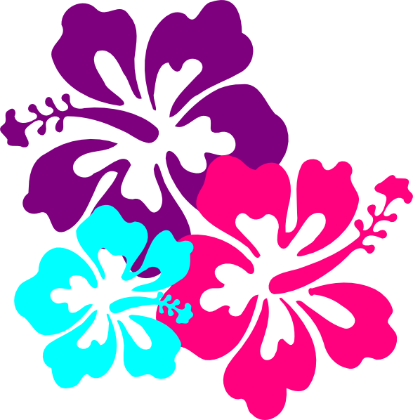 Hibiscus Clip Art At Clker - Flor De Hibisco Desenho (588x598)