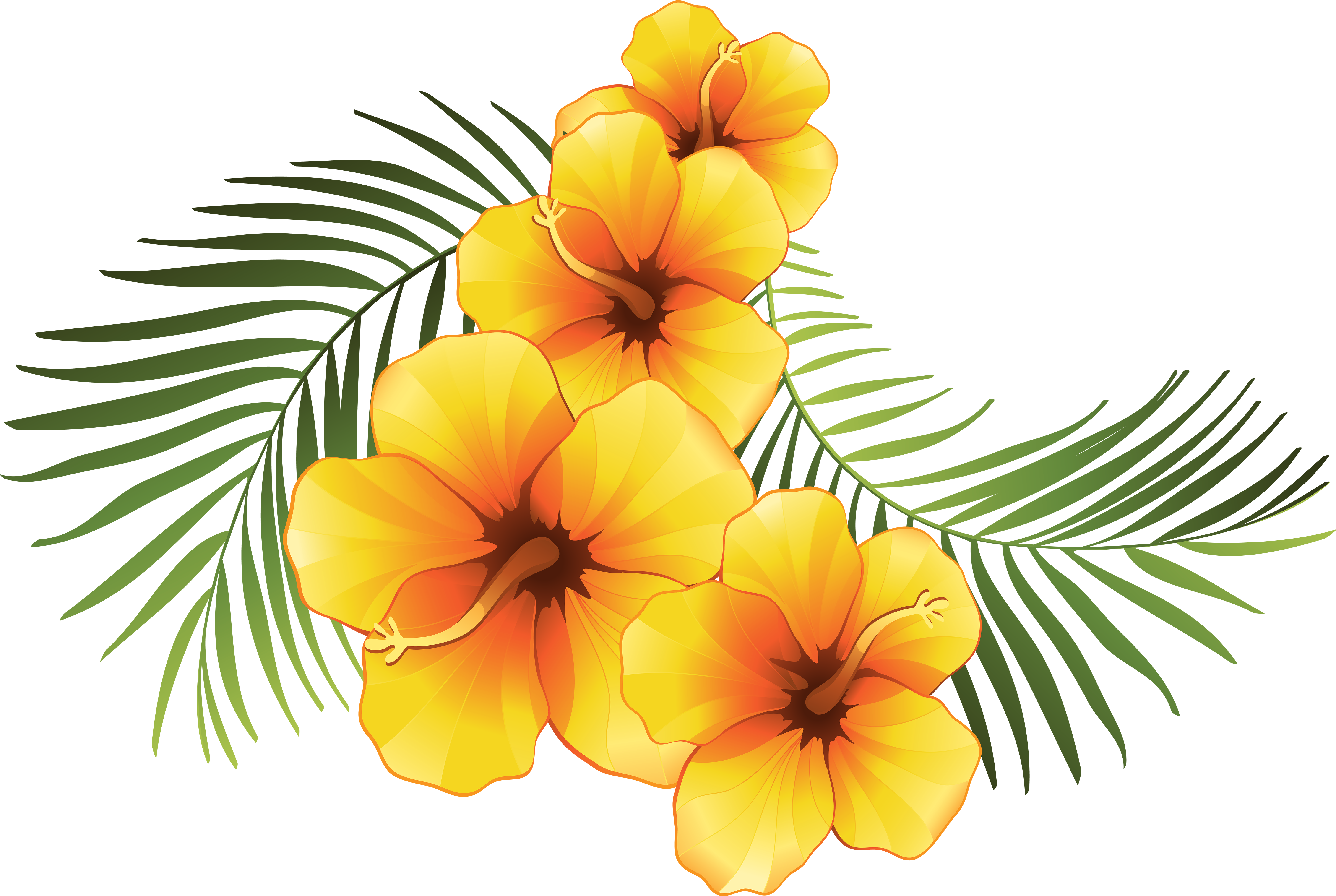 Exotic Floral Decoration Transparent Png Clip Art Image - Transparent Tropical Flower Clipart (6000x4023)