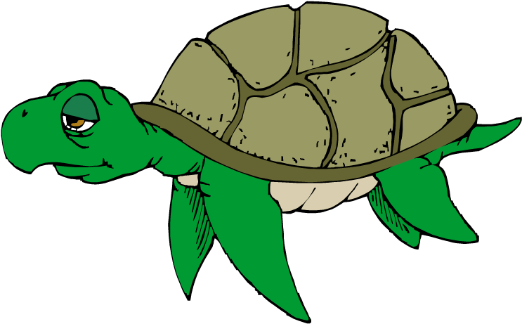 Hawaiian Sea Turtle Clipart Free Images 2 - Sad Turtle Clip Art (750x461)