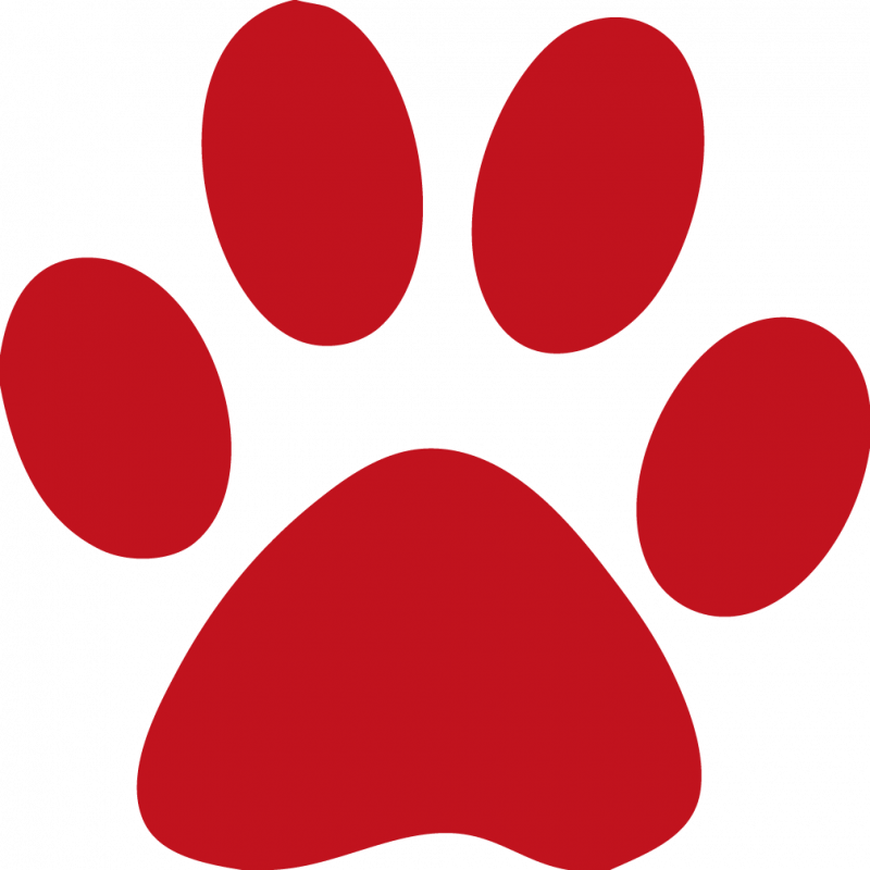 Wildcat Dog Paw Clip Art - Wildcat Dog Paw Clip Art (800x800)