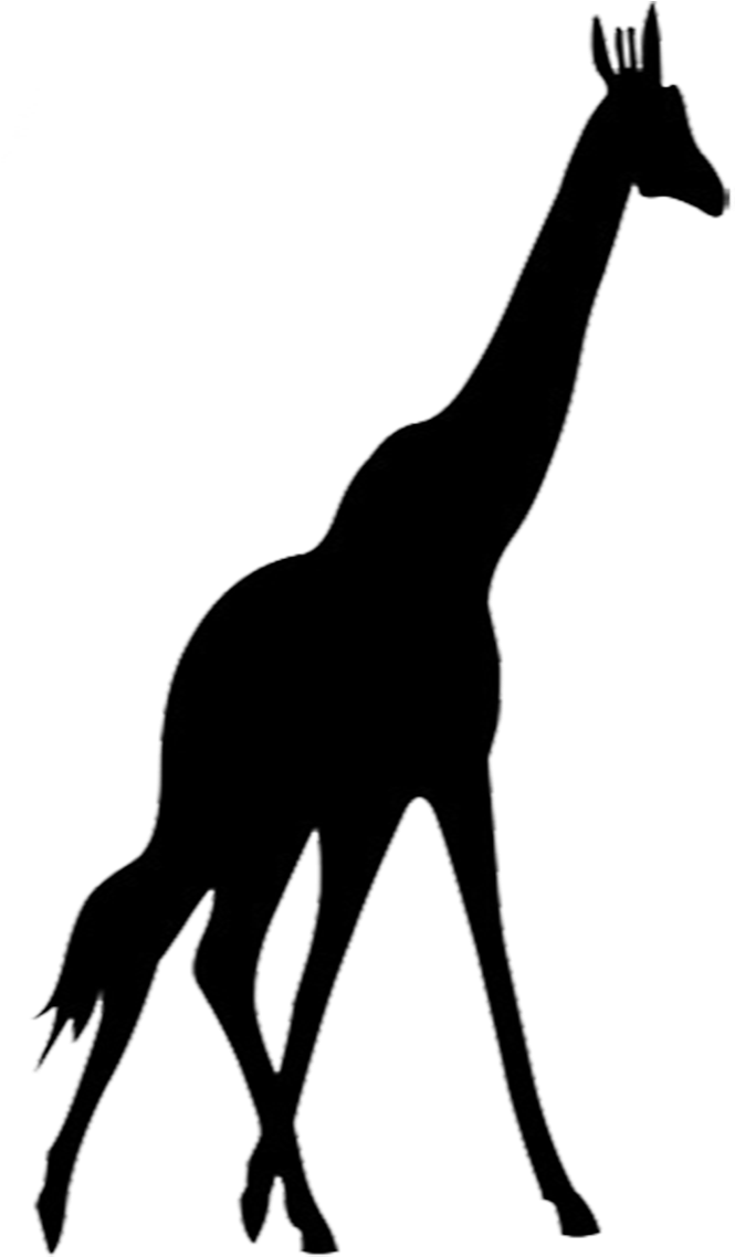 Giraffe Silhouette - Silhouette Giraffe Png (664x1181)