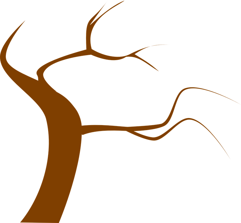 Tree Brown Branch Twig Twisty - Dead Tree Clip Art (776x720)