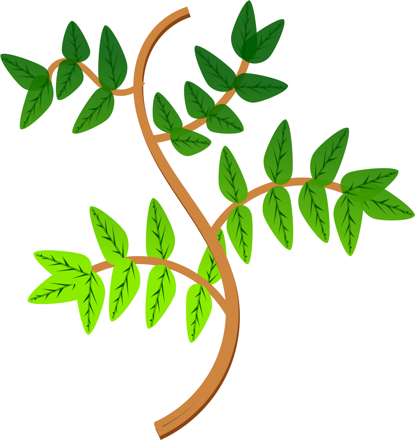 Clipart Tree With Branches And Leaves - Plants (3394x2400)
