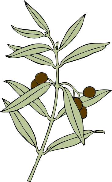 Free Vector Olive Branch Clip Art - Olive Branch Animated (366x594)