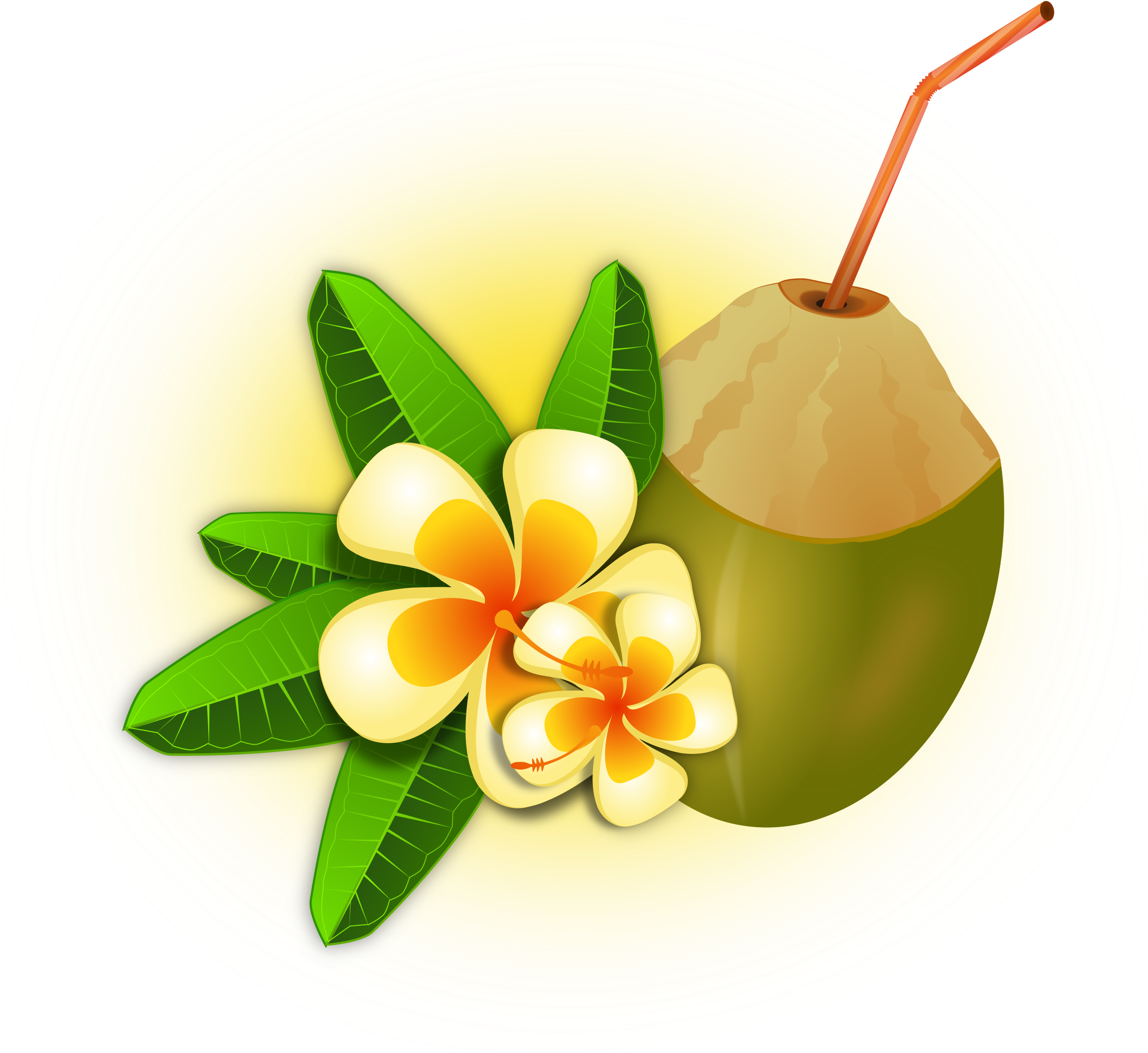 Hawaii Clipart Coconut Cocktail - Coco Tropical Png (2400x2247)