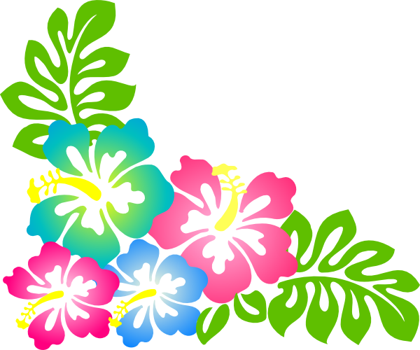 Elower Clipart Gumamela - Hibiscus Clip Art (600x500)