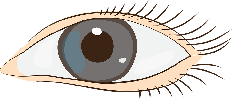 Eyes Sight Face Clip Art Graphics - Cap (960x480)