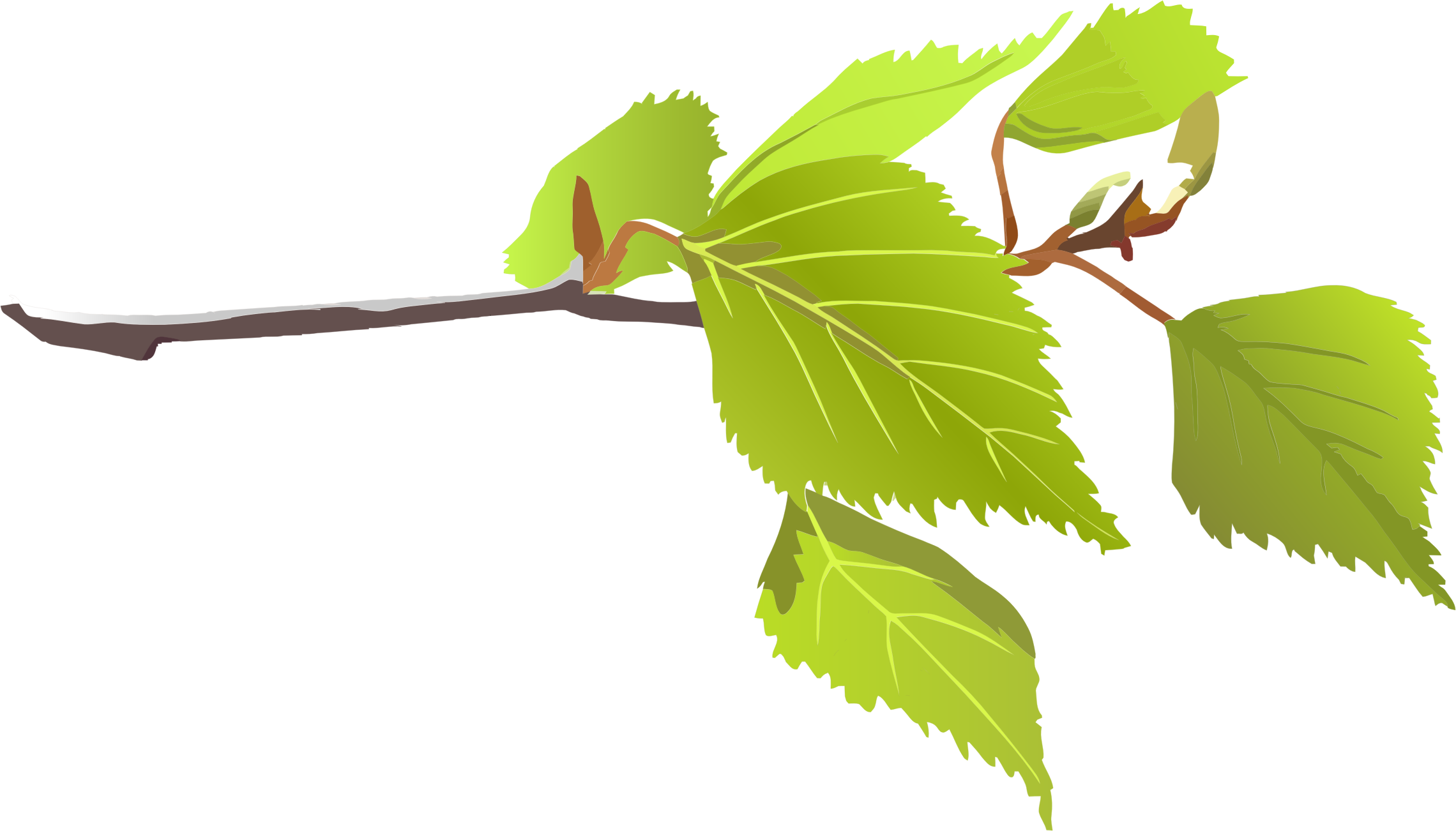 Clipart - Branch With Leaves Png (2280x1302)